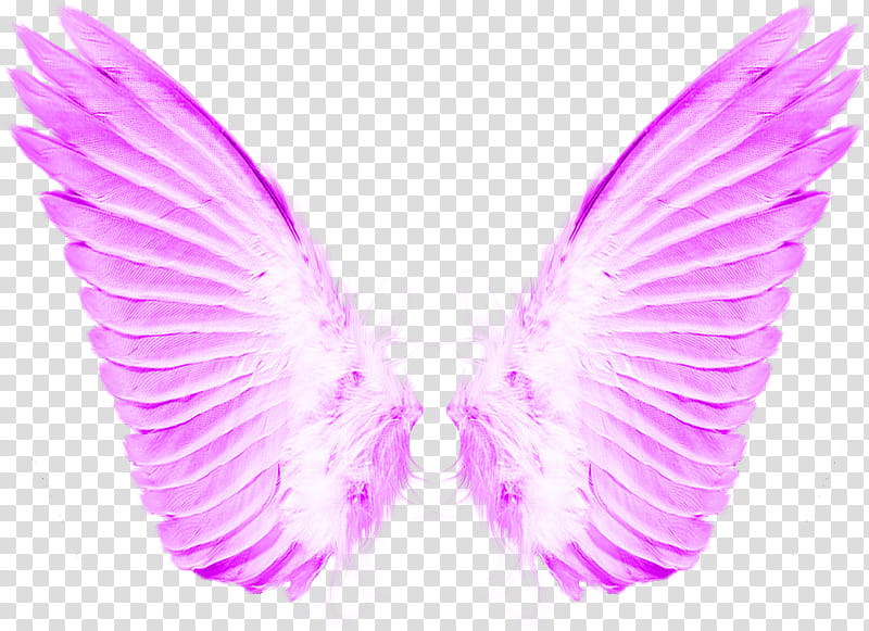 PART Material, pink wings transparent background PNG clipart