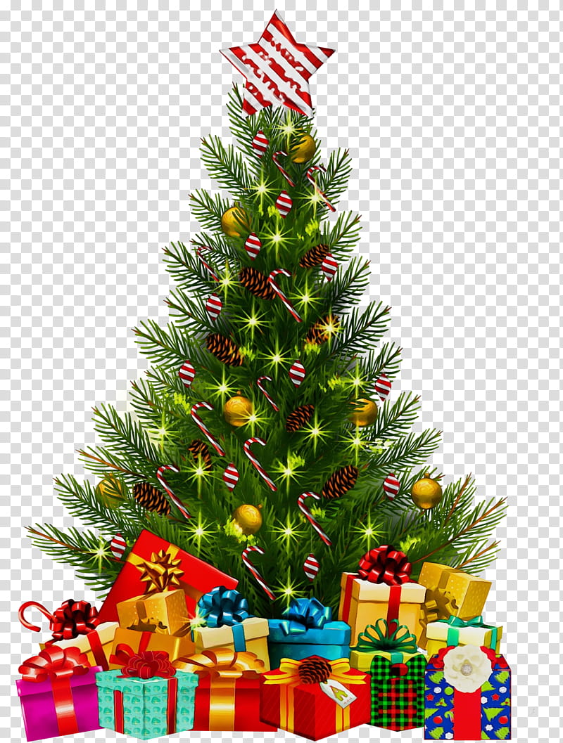 Christmas tree, Watercolor, Paint, Wet Ink, Christmas Decoration, Colorado Spruce, Oregon Pine, Christmas Ornament transparent background PNG clipart
