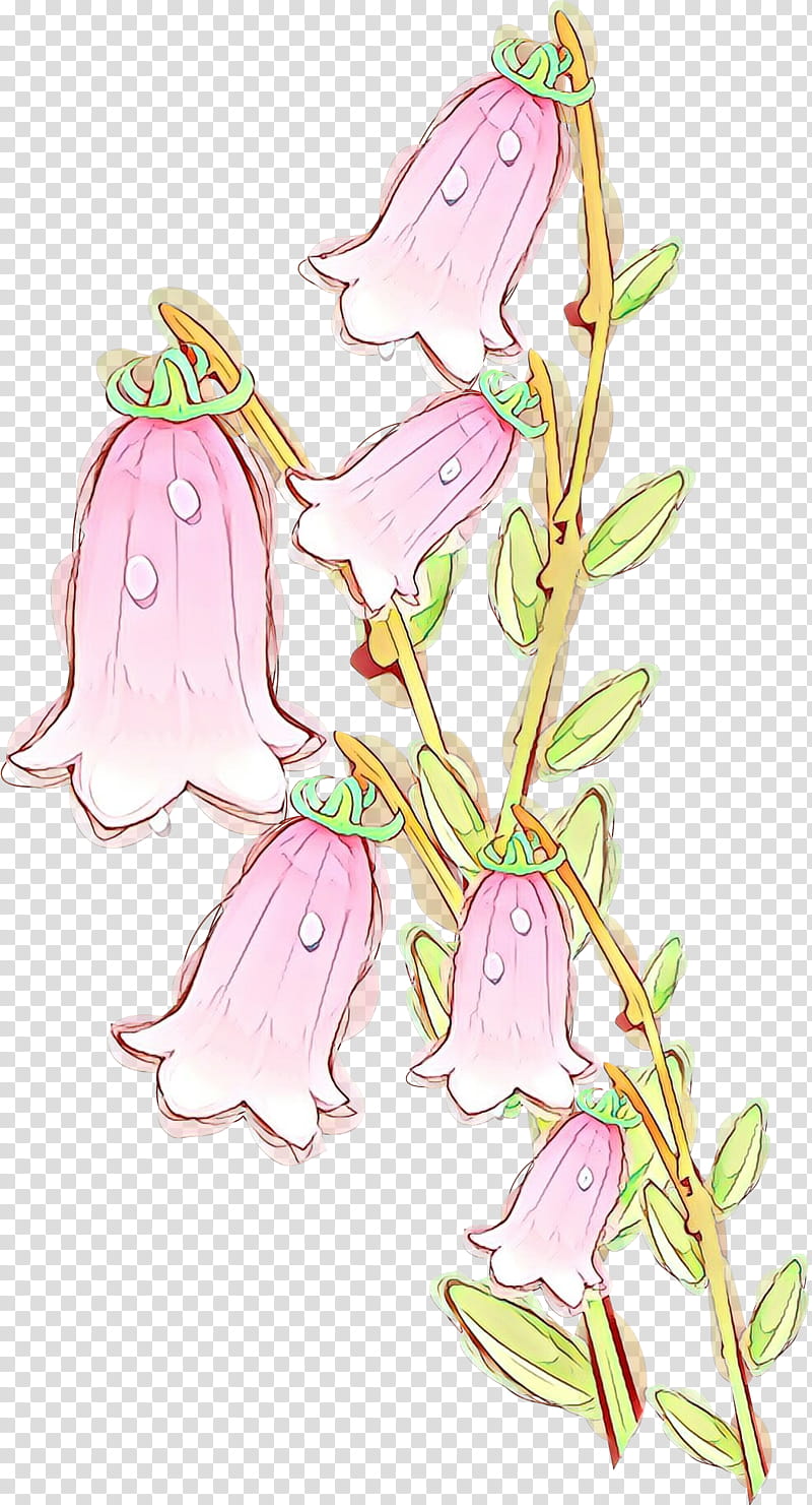 flower plant pink wildflower bellflower family, Cartoon transparent background PNG clipart