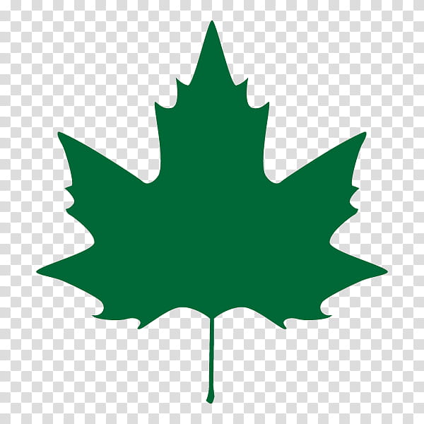 Canada Maple Leaf, Flag Of Canada, Plane Trees, Drawing, Alamy, Green, Woody Plant, Symmetry transparent background PNG clipart