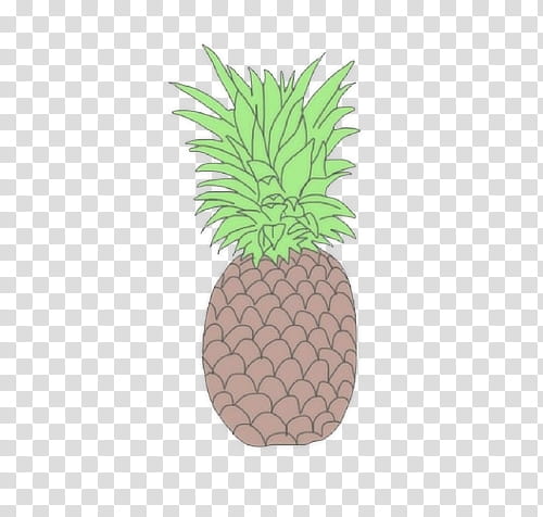 , pineapple illustration transparent background PNG clipart