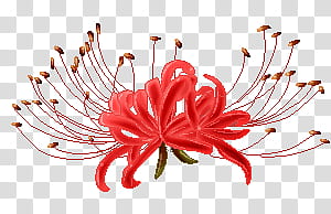[P] Red Spider Lily Pixel transparent background PNG clipart