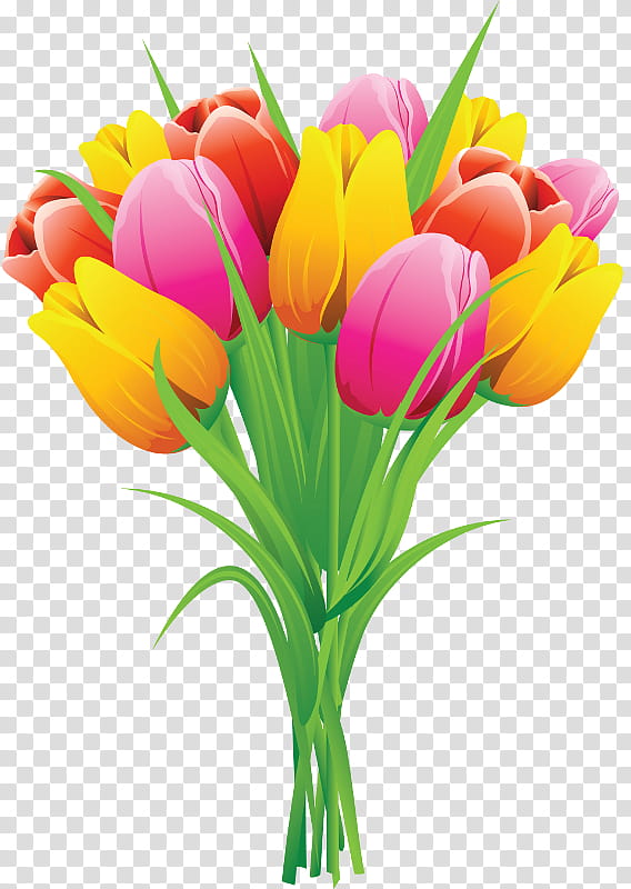 Watercolor Floral, Tulip, Flower, Spring
, Tulip Festival, Floral Design, Flower Bouquet, Watercolor Painting transparent background PNG clipart