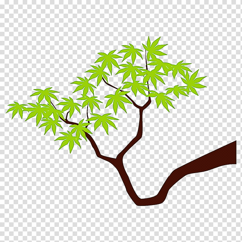 maple branch maple leaves maple tree, Leaf, Green, Plant, Woody Plant, Plant Stem, Flower, Plane transparent background PNG clipart