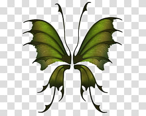 Wings Set 05 transparent background PNG clipart thumbnail