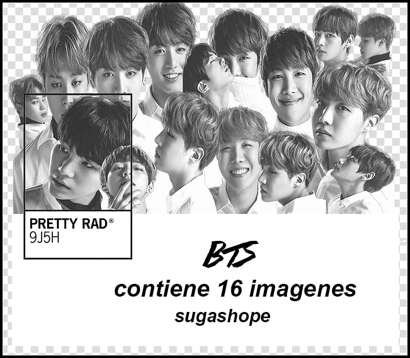 bangtan sonyeondan , BTS concert advertisement transparent background PNG clipart