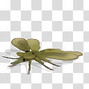 Spore creature Stenodictya lobata  transparent background PNG clipart