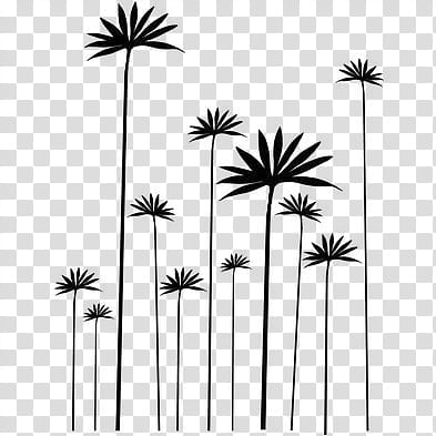 Flowers  PS Brushes, black plants illustration transparent background PNG clipart