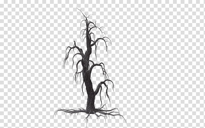 Resources  Overexposed, withered tree transparent background PNG clipart