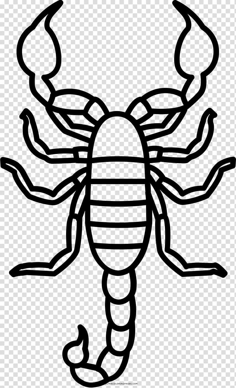 scorpion cartoon drawing