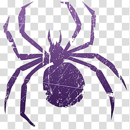 Litho , spider icon transparent background PNG clipart