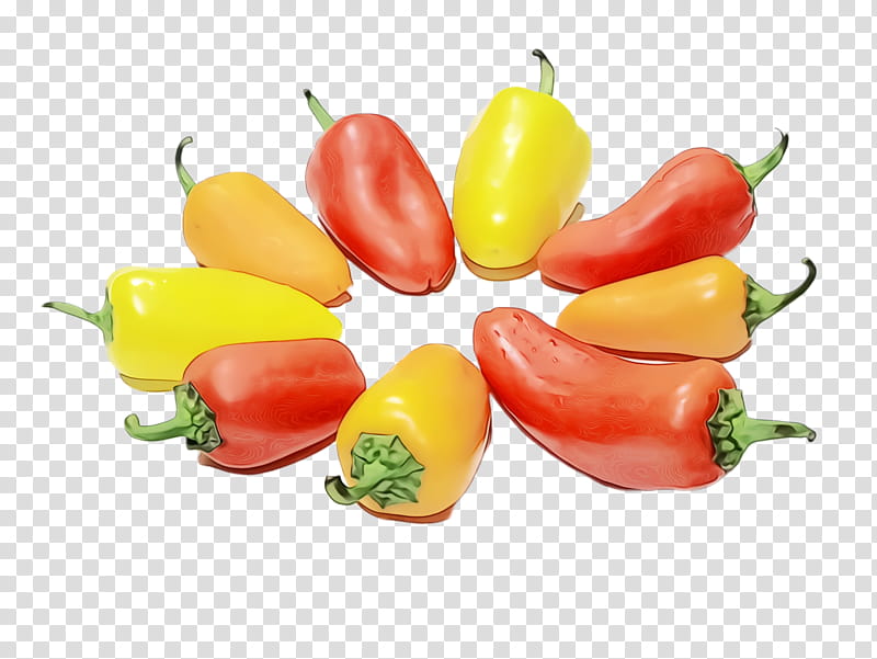 Chili con carne Bell pepper Vegetarian cuisine Chili pepper Food, Watercolor, Paint, Wet Ink, Santa Fe Grande Pepper, Cayenne Pepper, Vegetable, Yellow Pepper transparent background PNG clipart