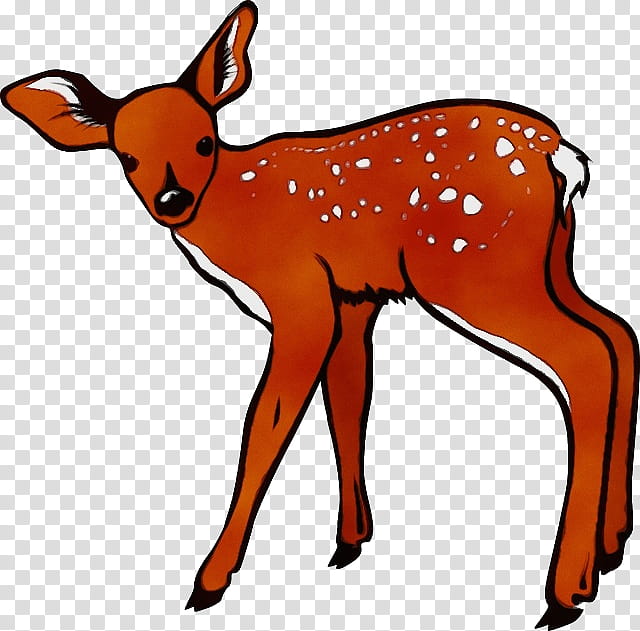 Deer Deer, Whitetailed Deer, Drawing, Silhouette, Line Art, Wildlife, Roe Deer, Fawn transparent background PNG clipart
