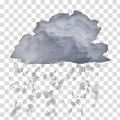 WSI Weather Icons As Seen on TV, Snow_Moderate transparent background PNG clipart