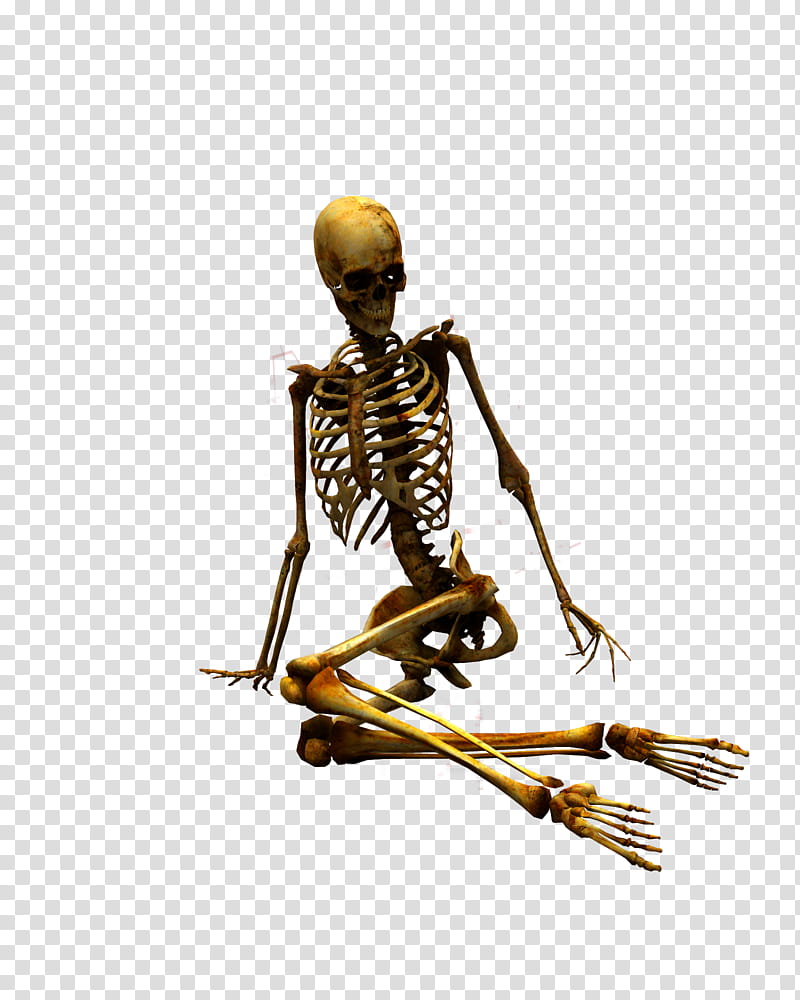 E S Bones I, sitting human skeleton illustration transparent background PNG clipart