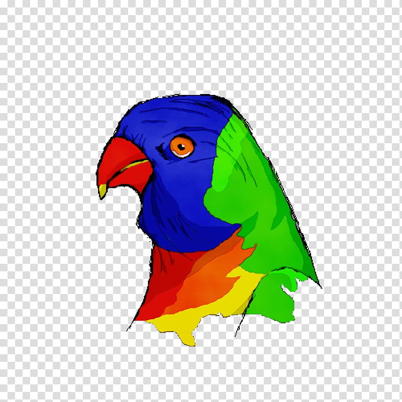 Lovebird, Watercolor, Paint, Wet Ink, Lorikeet, Beak, Parrot, Parakeet transparent background PNG clipart