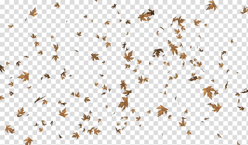 leaf scatter, fallen leaves illustration transparent background PNG clipart