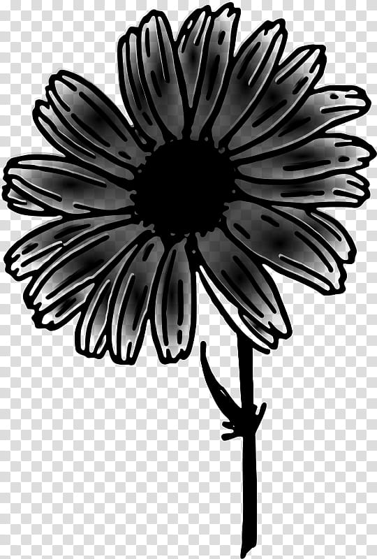 Drawing Of Family, Common Daisy, Flower, Daisy Family, Oxeye Daisy, Line Art, Color, Silhouette transparent background PNG clipart