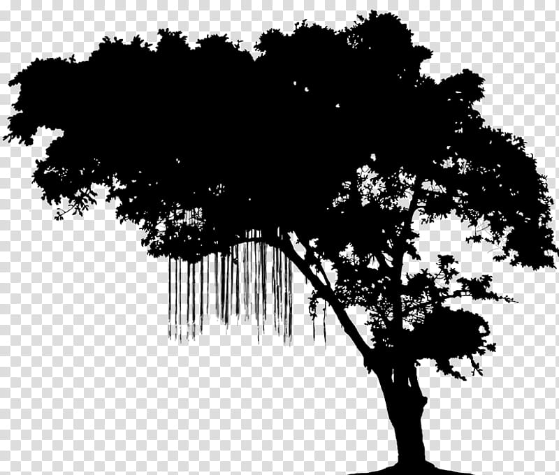 Tree Branch Silhouette, Hashtag, Narrative, Book, 2018, Novel, Love, Ebook transparent background PNG clipart