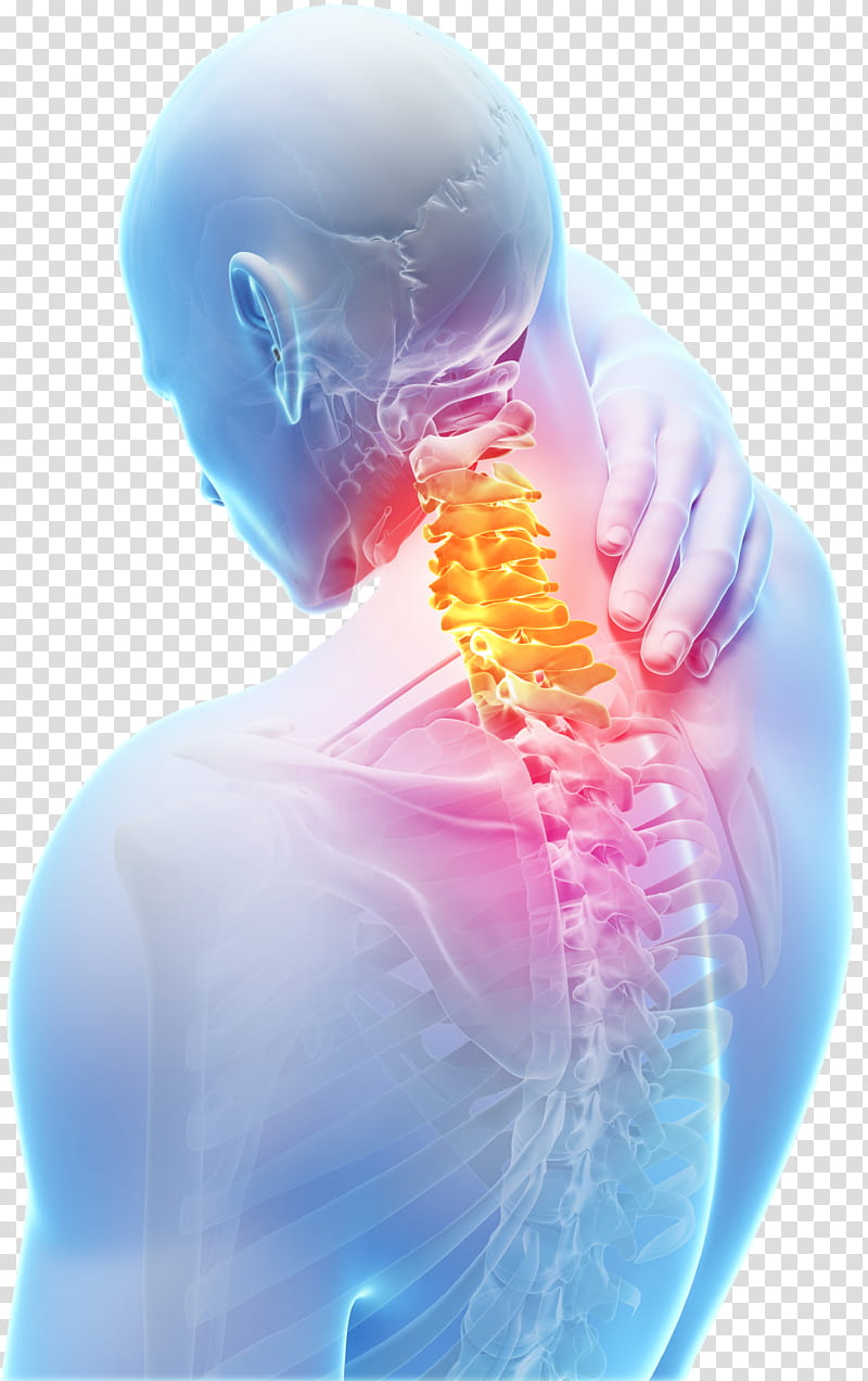 Neck Pain Joint, Spinal Disc Herniation, Cervical Vertebrae, Vertebral Column, Degenerative Disc Disease, Human Back, Middle Back Pain, Low Back Pain transparent background PNG clipart