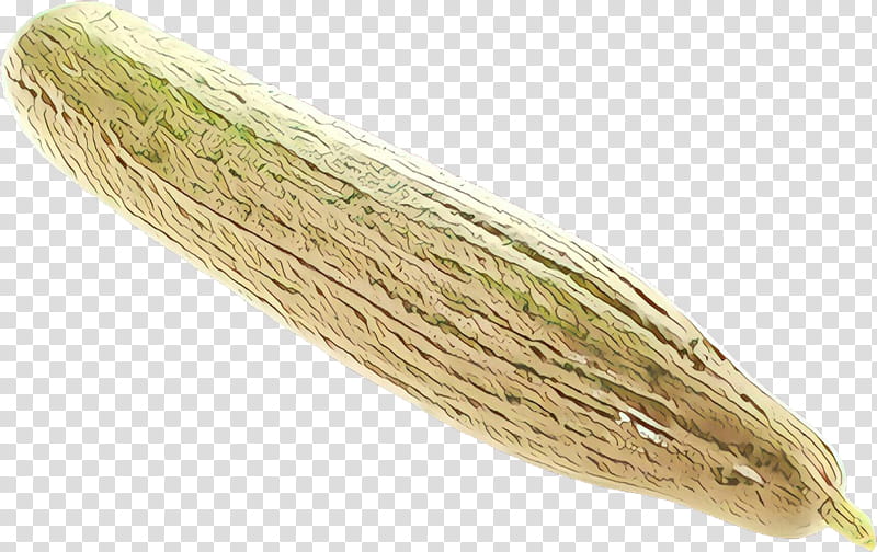 Ingredient Luffa, Commodity transparent background PNG clipart