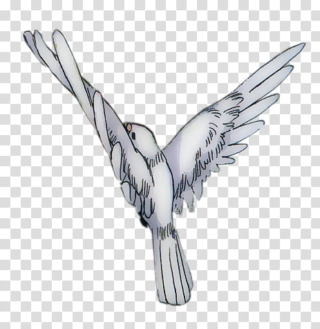 White Doves xp, white bird illustration transparent background PNG clipart