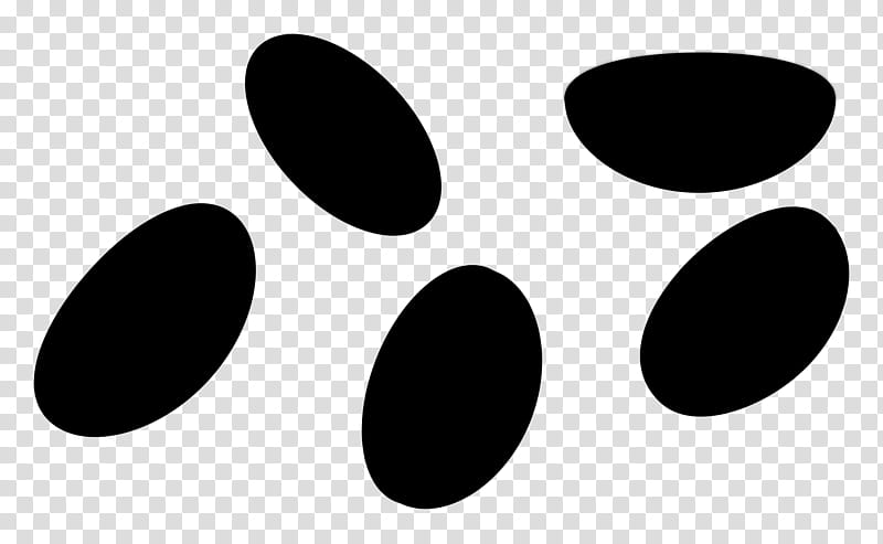 Circle, Point, Computer, Animal, Black M, Paw, Oval, Blackandwhite transparent background PNG clipart