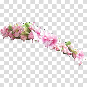 Flower Crowns, pink petal flower headband transparent background PNG clipart