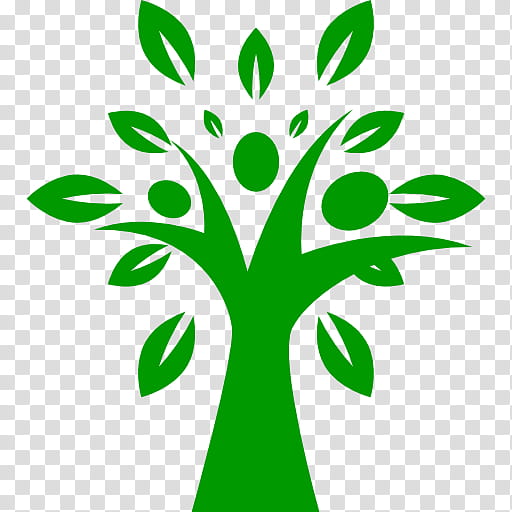 Green Leaf Logo, Fruit Tree, Fall Tree, Branch, Trunk, Plant, Line, Plant Stem transparent background PNG clipart