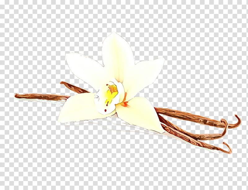 vanilla plant flower, Cartoon transparent background PNG clipart