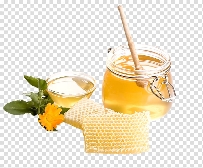 Bee, Pancake, Honey, Beekeeping, Honey Bee, Sweetness, Food, Sugar transparent background PNG clipart