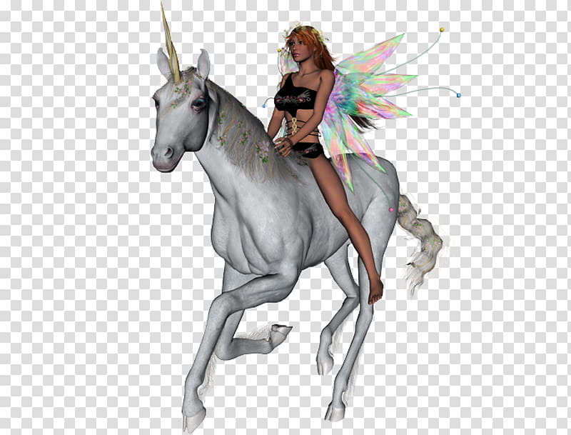 Fae and Unicorn, woman on horse illustration transparent background PNG clipart