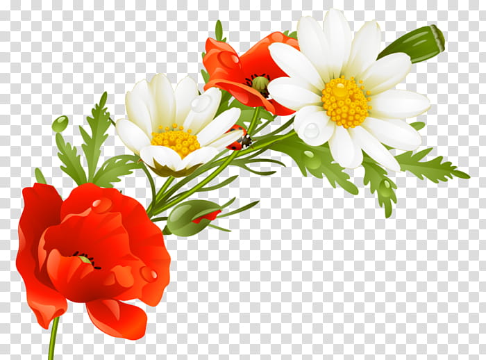 Bouquet Of Flowers Drawing, Floral Illustrations, Wreath, Cartoon, Cut Flowers, Orange, Petal, Floristry transparent background PNG clipart