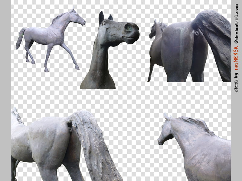 horse bronce transparent background PNG clipart