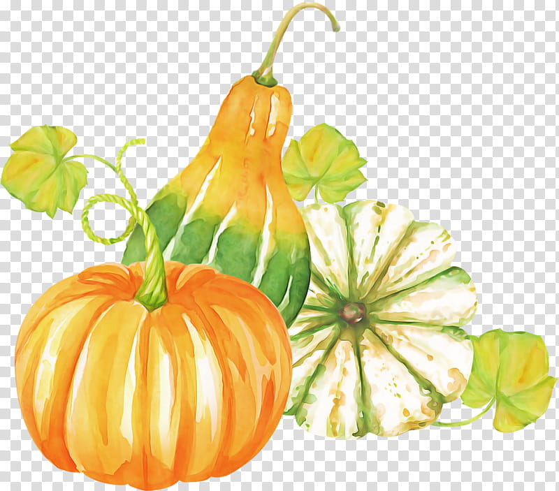 Pumpkin, Calabaza, Cucurbita, Orange, Gourd, Vegetable, Plant, Leaf transparent background PNG clipart