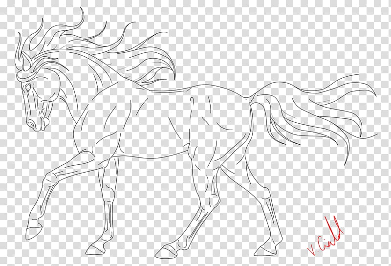 Horse Lineart, horse drawing transparent background PNG clipart