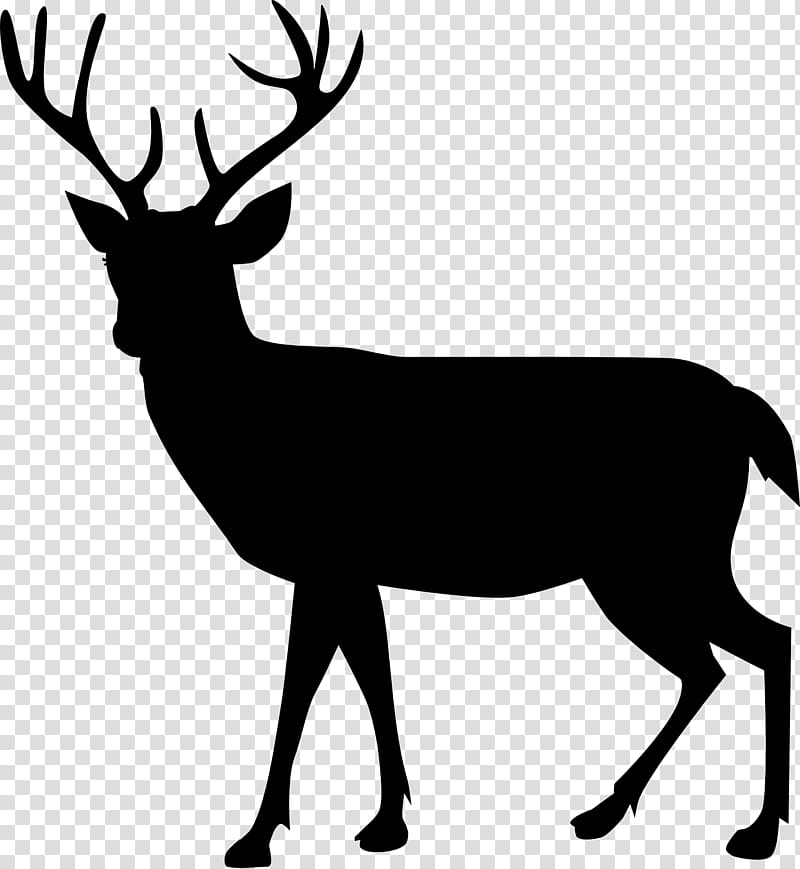 Book Black And White, Deer, Moose, Reindeer, Silhouette, Stencil, Antler, Elk transparent background PNG clipart