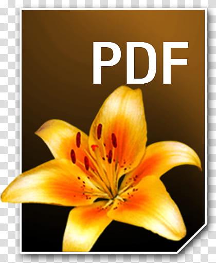 Adobe Neue Icons, PDF__, PDF file format icon transparent background PNG clipart