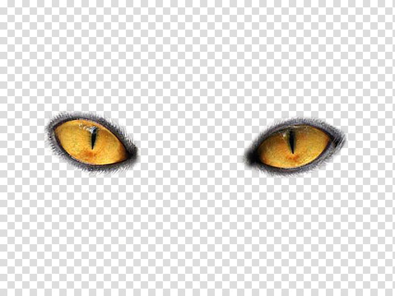 Cats Eyes, brown cat eyes transparent background PNG clipart
