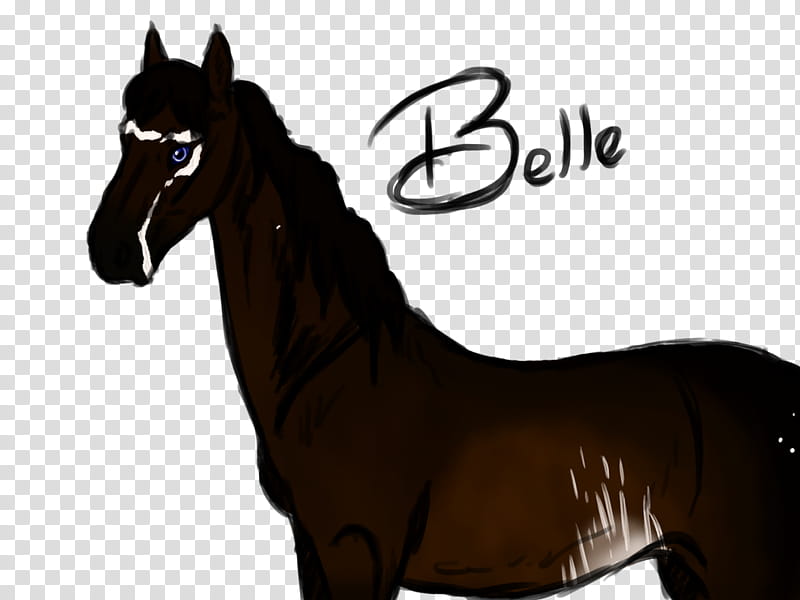 Sketchy Belle transparent background PNG clipart