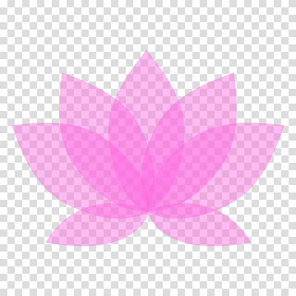 Pink Flower, Yoga, Massage, Silhouette, Body, Hot Yoga, Sacred Lotus, Meditation transparent background PNG clipart