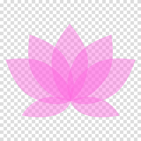 lotus flower yoga