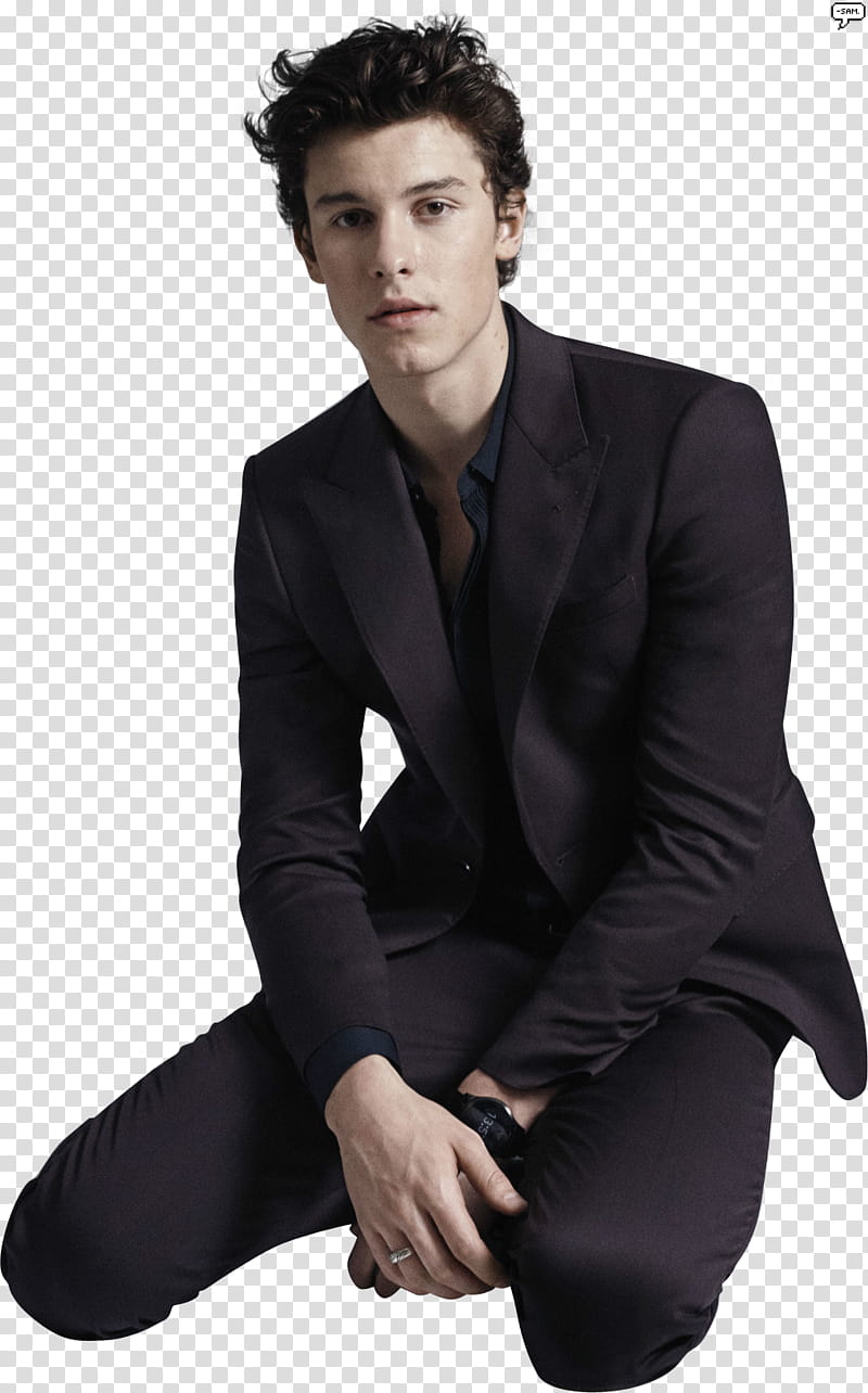 SHAWN MENDES,,SAM () transparent background PNG clipart