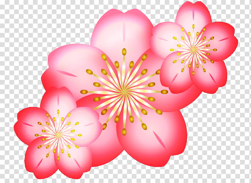 Cherry Blossom, Sakura Wars So Long My Love, Drawing, Digital Art, Painting, Artist, Cutie Mark Chronicles, Pink transparent background PNG clipart