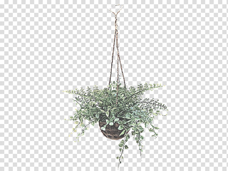 lighting plant light fixture chandelier leaf, Flowerpot, Grass, Ceiling, Ceiling Fixture transparent background PNG clipart