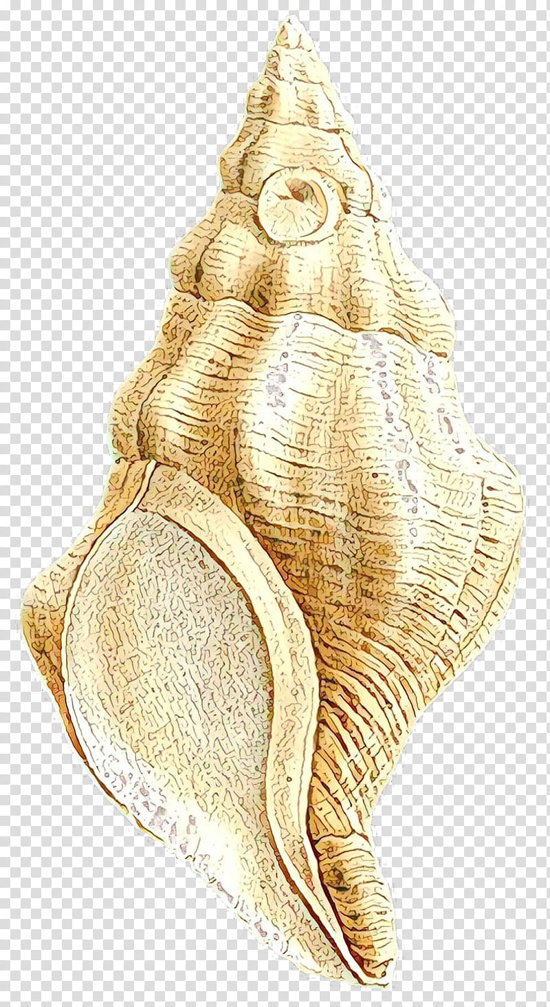 Gold Drawing, Conchology, Trumpet, Cockle, Sea Snail, Shankha, Plant transparent background PNG clipart