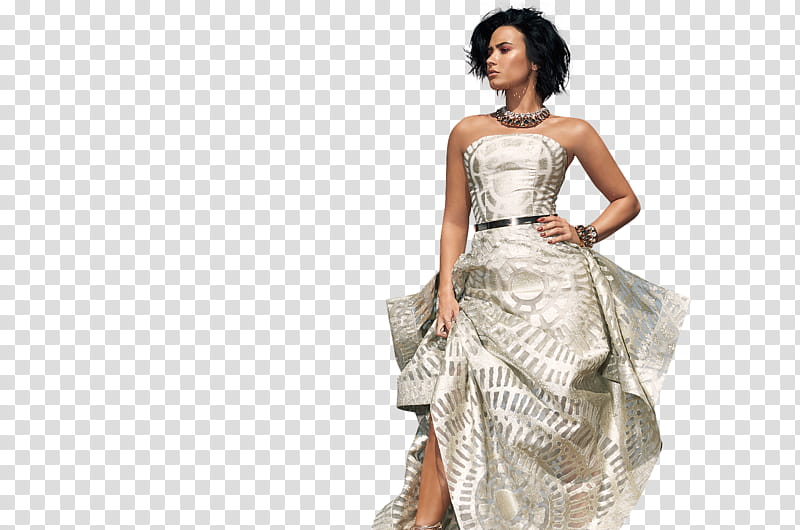 DEMI LOVATO , transparent background PNG clipart | HiClipart