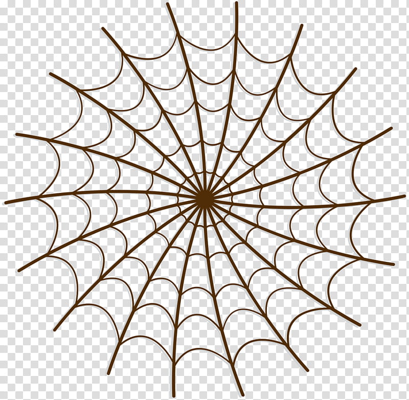 Spider Web, Drawing, White, Line, Leaf, Line Art, Symmetry, Blackandwhite transparent background PNG clipart