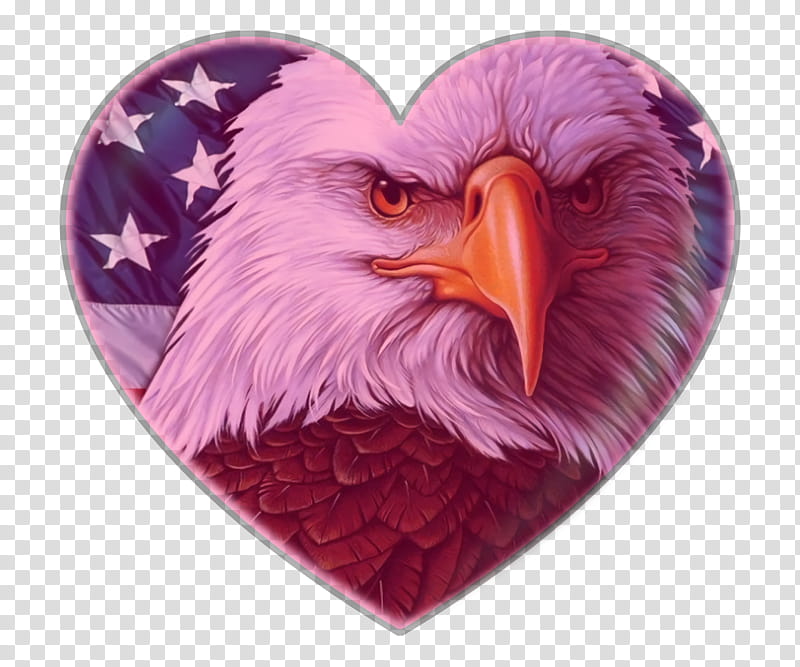 Fourth Of July, 4th Of July, Independence Day, American Flag, Eagle, Bald Eagle, United States, Iphone X transparent background PNG clipart