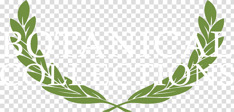 Laurel Leaf Crown, Laurel Wreath, Bay Laurel, Blog, Botanical Garden, Olive Wreath, Botanical Olive, Plant transparent background PNG clipart